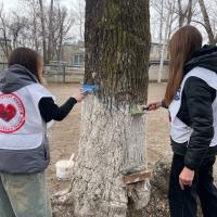 Прошёл субботник, посвящённый акции Прошёл субботник, посвящённый акции