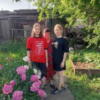 🌱💪 Помогаем нашим героям! 🌱💪 Помогаем нашим героям!