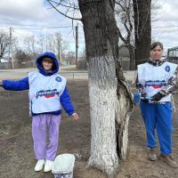 ���������, ����������� ����� 