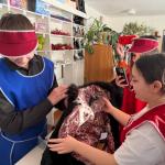 �����������