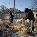 �����������